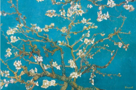 Almond Branches In Bloom, San Remy, C.1890 By Vincent Van Gogh